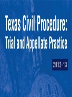 Texas Civil Procedure: Trial and Appellate Practice, 2012-2013 by: William V. Dorsaneo III ISBN10: 0327176059