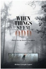 When Things Seem Odd by: Michael Joseph Legare ISBN10: 1460277538