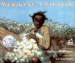 Working Cotton by: Sherley Anne Williams ISBN10: 0152014829