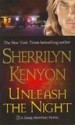 Unleash the Night by: Sherrilyn Kenyon ISBN10: 0312362013