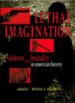 Lethal Imagination by: Michael A. Bellesiles ISBN10: 0814712959